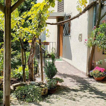 Ferienwohnung Gutermuth Obereisenheim Ngoại thất bức ảnh